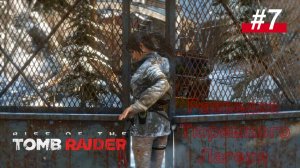 #7 Rise of the Tomb Raider Разведка тюремного лагеря и Невезучие