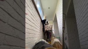 8 часть 24 часа на балконе