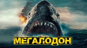 Кажется, МЕГАЛОДОН НЕ ВЫМЕР