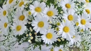 Поздравляем с Юбилеем мамулю