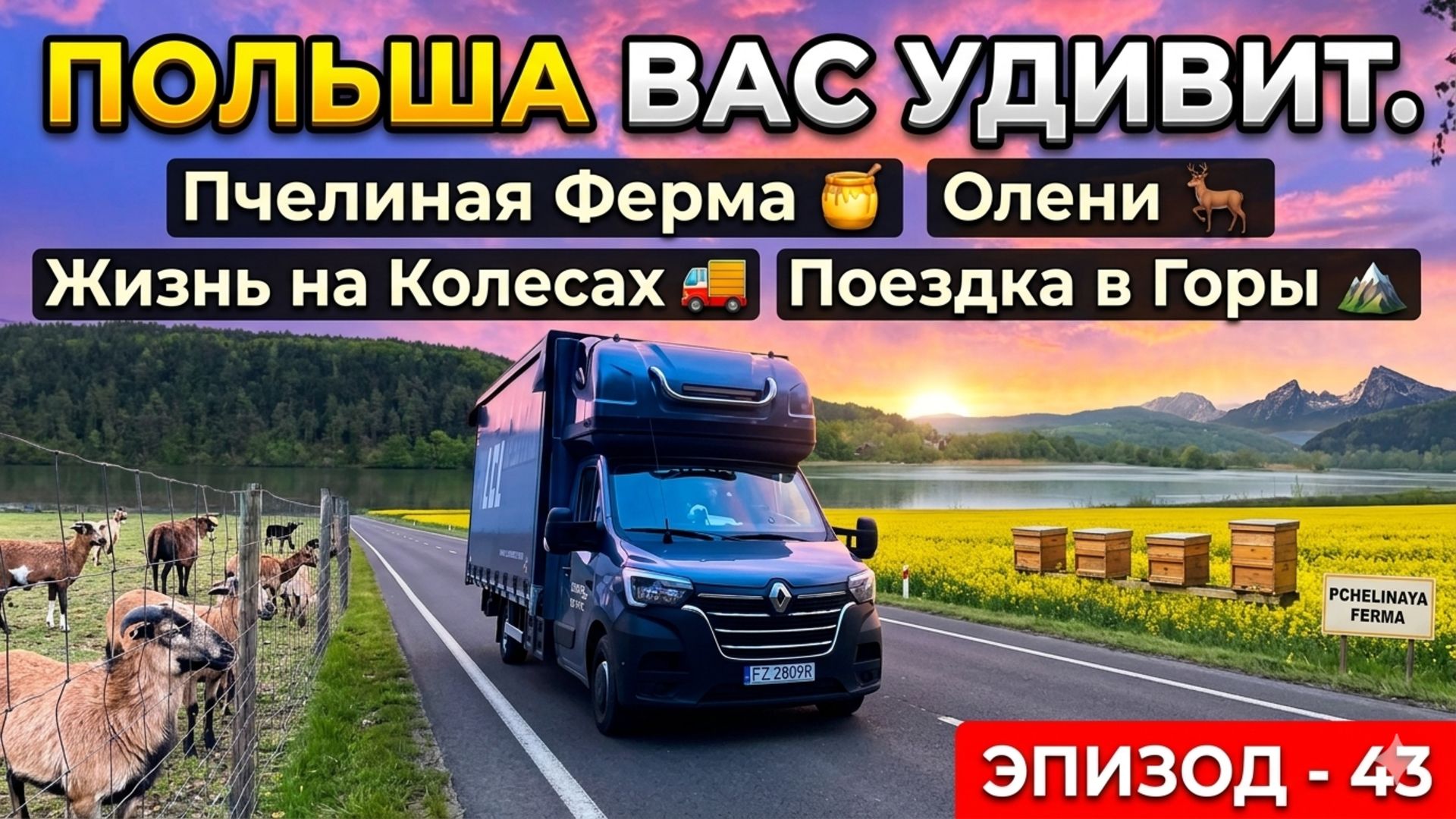 Польша Вас Удивит. Пчелиная Ферма и Олени в Частной Собственности. Жизнь на Колесах. Автопутешествие