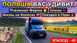 Польша Вас Удивит. Пчелиная Ферма и Олени в Частной Собственности. Жизнь на Колесах. Автопутешествие
