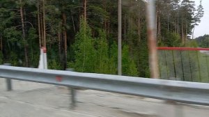 Алтайский край Первомайский район 🌳🌳