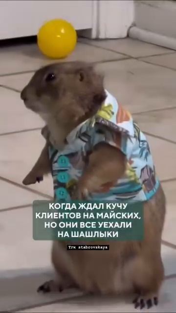 Хотите, чтобы ваш InstagramTelegram начал реально приносить клиентов  (37)