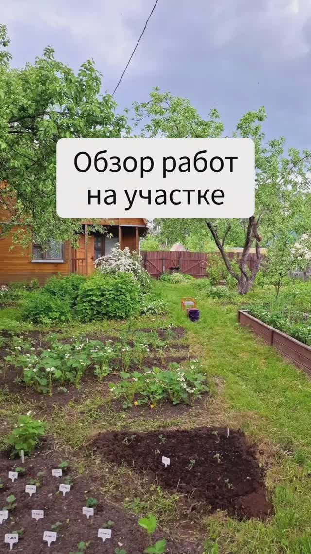 Экспресс-обзор работ на участке на 24.05.2026