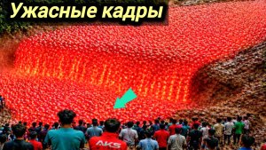 23-05-2026. ЧП❗КАТАКЛИЗМЫ❗КАТАСТРОФЫ‼️ ПРОИСШЕСТВИЯ ЗА ДЕНЬ. новости дня. СЕГОДНЯ