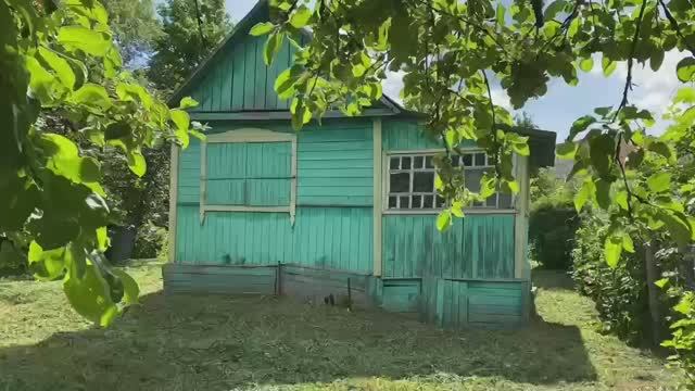 Дача СНТ Дружба смотреть онлайн