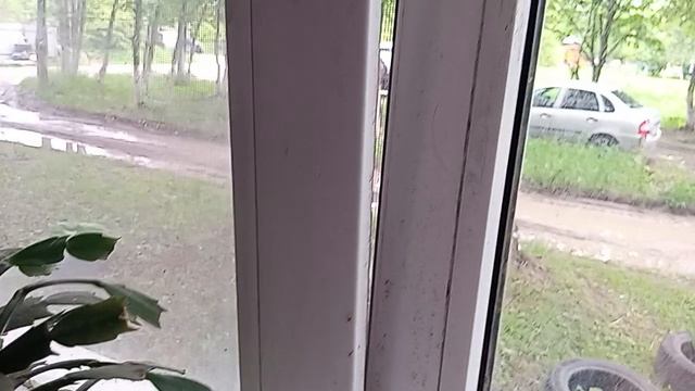 25-05-2026 распаковка чек веселый дом 21 д. Жилетово смотреть онлайн