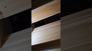 1000059523.mp4 (Собака наблюдает за устройством лестницы на 2-ой этаж в доме А-фрейм)