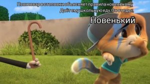 нежненький новенький (44 котёнка)