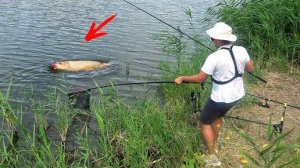 ОПЯТЬ КАРП ВЗЯЛ СОСКУ!!! КАРП и КАРАСЬ на ЧУДО СНАСТЬ 🐟