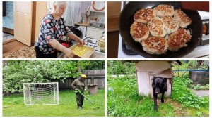 «Жизнь на пенсии».. Охранник мой, опять испортил мои грядки..