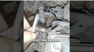 Вы точно попадали на этот развод!