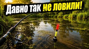ПОПЛАВОК ПОВЕЛО И НАЧАЛОСЬ! В грязной речушке вышел КРУПНЯК! Рыбалка 2026