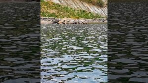 Время покажет