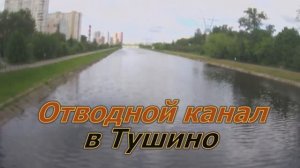 Отводной канал в Тушино. Проверка наличия рыбы. 25.05.2026