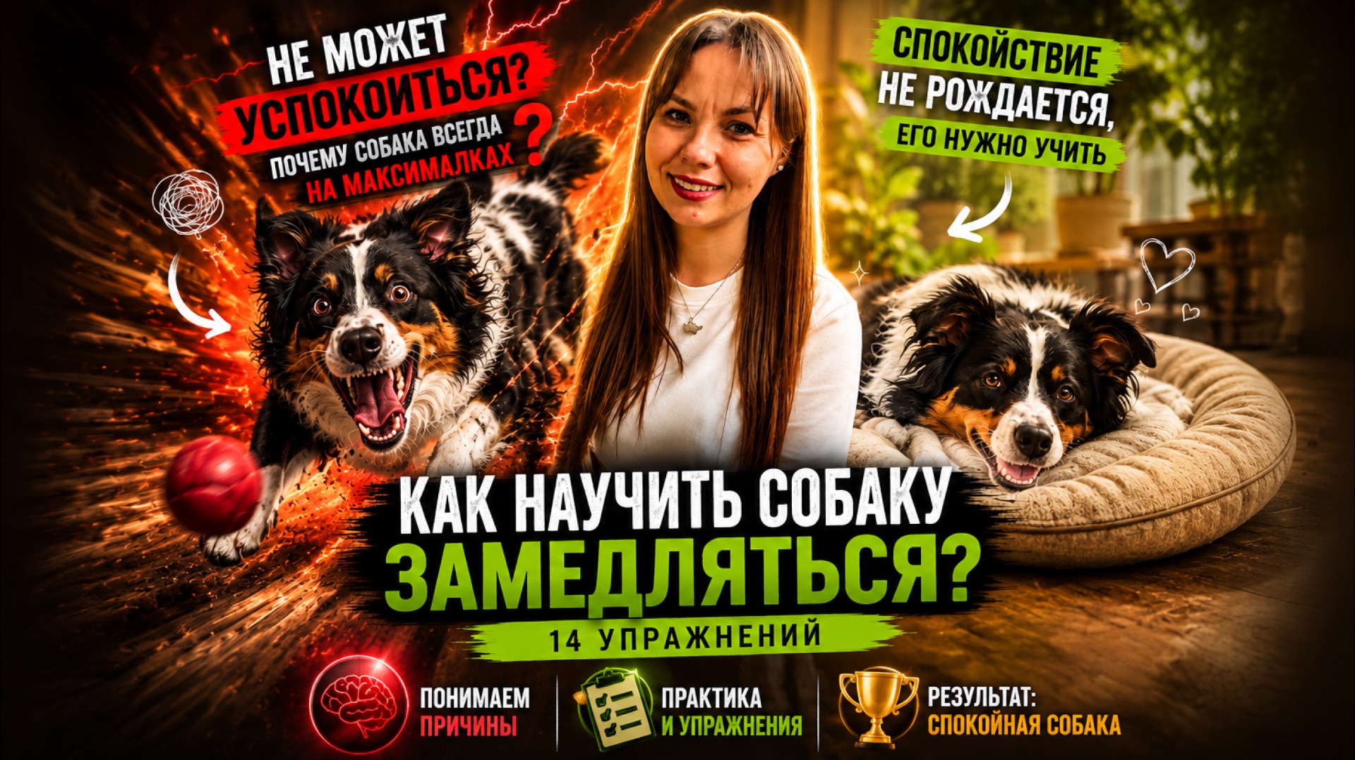 Собака НЕ МОЖЕТ успокоиться? 14 упражнений для спокойствия и самоконтроля