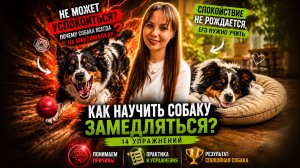 Собака НЕ МОЖЕТ успокоиться? 14 упражнений для спокойствия и самоконтроля