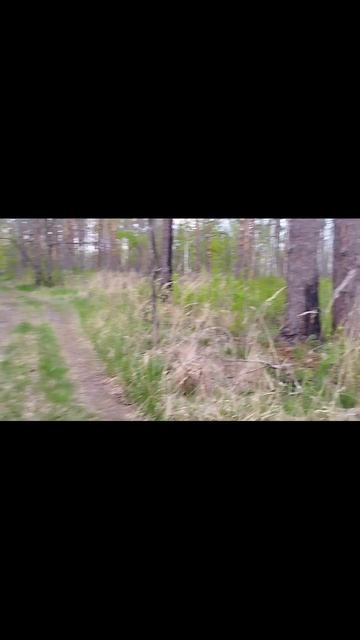 дорога вдоль Пры смотреть онлайн