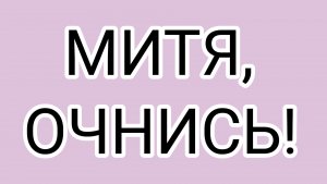 ДОМОСЕР - недоделанный шпион!