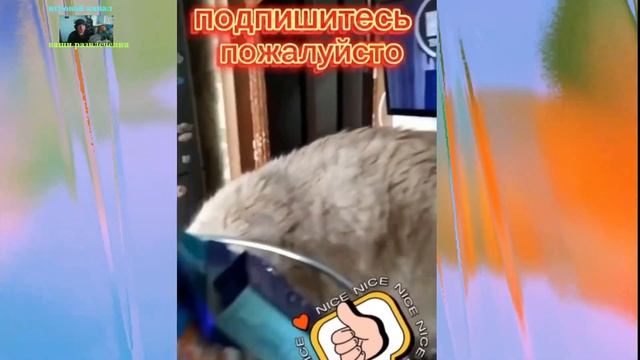 Удивительные животные выпуск восьмой