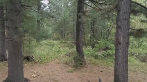 ХОЗЯЕВА ТАЙГИ, ВТОРАЯ ЧАСТЬ, КАДРЫ РЕШАЮТ ВСЁ
