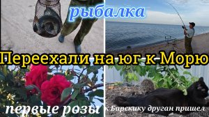 ЖИЗНЬ НА ЮГЕ ПОСЛЕ ПЕРЕЕЗДА, ПРИВЕЗЛИ БРОЙЛЕРОВ, НА РЫБАЛКЕ, МОРЕ ПРОГРЕВАЕТСЯ