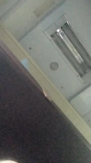 гор