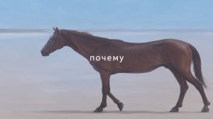 ответы на вопросы из макс канала