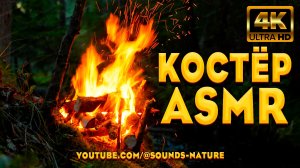 4K 📺 Лесной Костер В Майском Лесу 🔥 Пение Птиц И Успокаивающий Ручей Для Сна И Медитации 🌲🌊