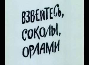 Взвейтесь, соколы, орлами (1991)
