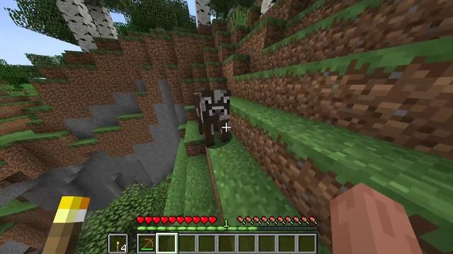 Прохождение Minecraft с World_0 и The Aether часть 4