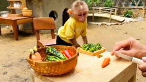 Чудесная жизнь маленькой обезьянки!4ч.🙈🐒🙉🦧🦍