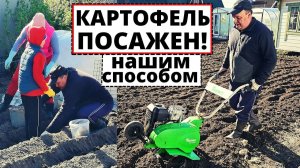 Вместо прудика и деревьев мы выбираем картофель. Кормим 3 семьи