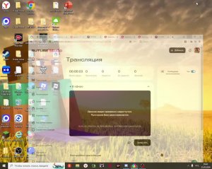стрим 9