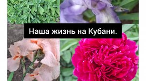 Живём и работаем на Кубани/ Садово-огородные дела/ Ремонт машины/ Переезд на Юг/ Будни семьи/