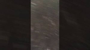 жесть