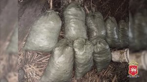Полицейские Татарстана с поличным задержали отца с сыном, незаконно выловивших более 12 тысяч раков