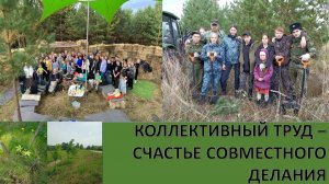 Счастье совместного делания. Почему коллективный труд даёт ощущение настоящей радости..