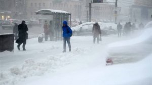 Олег Митяев -  Дружок