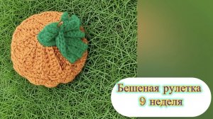 Бешеная рулетка 9 неделя #бешеныйдвиж #бешенаярулетка