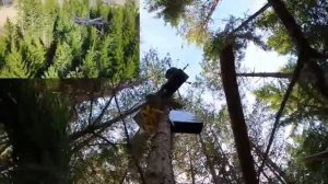 ДРОН ЛЕСОРУБ В ШВЕЦИИ ЧИТАЙ ОПИСАНИЕ ВИДЕО