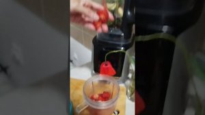 коктейли зелёные домашние / коктейли зелёные Фитлайн