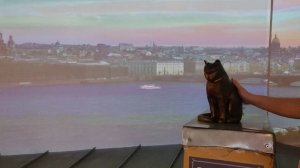 Как котики меняют погоду в Петербурге