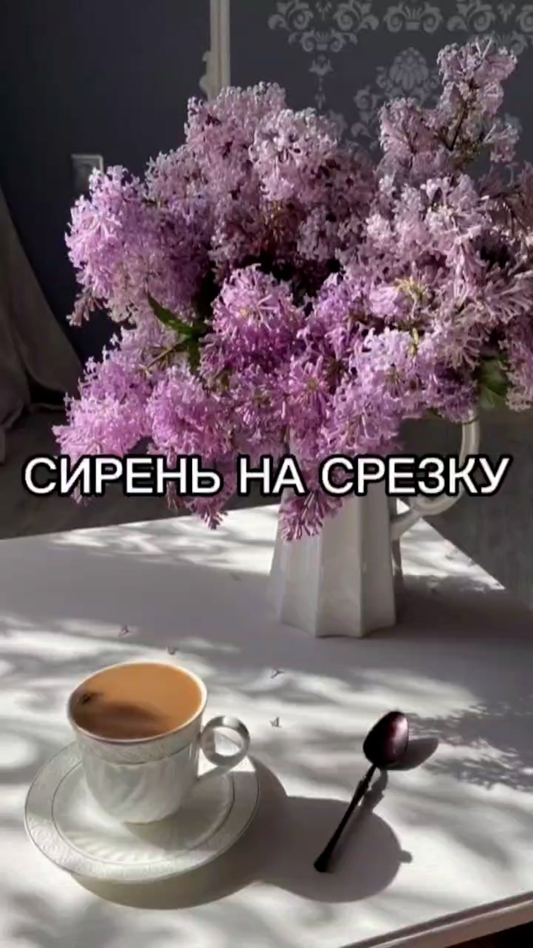 Как максимально долго сохранить букет из сирени?