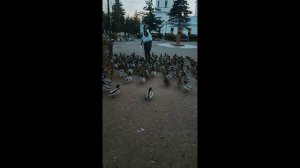 Черные птицы.Тверь