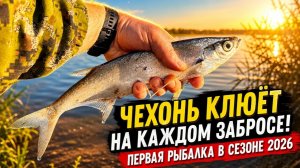 СПОНТАННЫЙ ВЫЕЗД НА ВЕЧЕРНЮЮ РЫБАЛКУ! Первая рыбалка в сезоне 2026