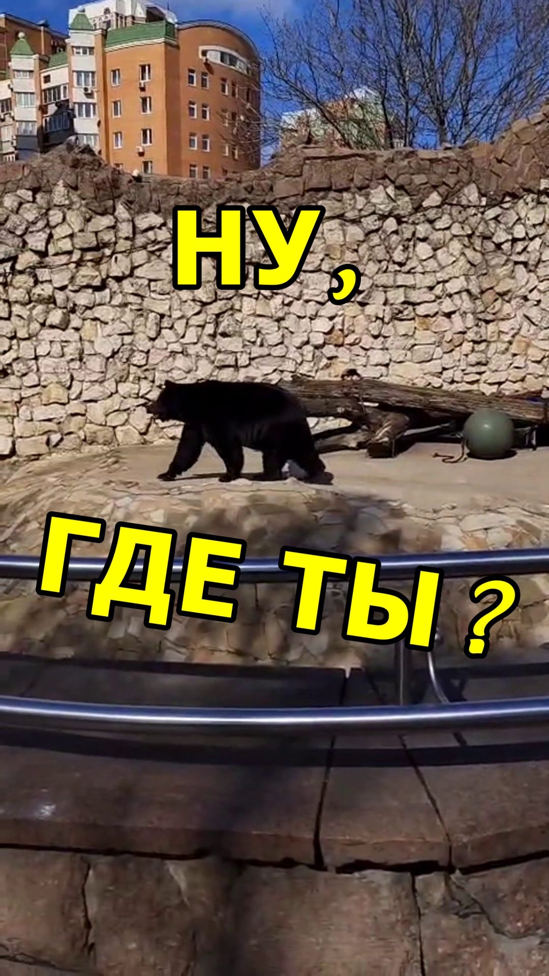ЭТО Я, КОГДА ЖДУ КУРЬЕРА ВОЗЛЕ ОКНА! смотреть онлайн