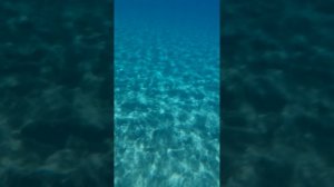 🐠Красное море Египта.