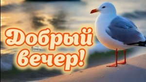 Вечернее видео.